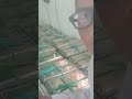 TERIMA KASIH PEMERINTAH DAN DAPUR MBG..