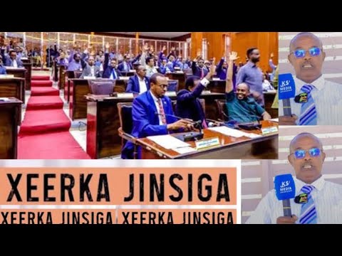 XOG WEYN: Golaha Wakiiladda Somaliland oo loo digay, Xeerka Jinsigu Dalka Khal-khal Maka Abuuri Kara