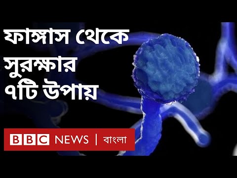 ফাঙ্গাস: কোভিড পরবর্তী কালো, সাদা বা হলুদ ছত্রাকের সংক্রমণ কেন হয়? | BBC Bangla