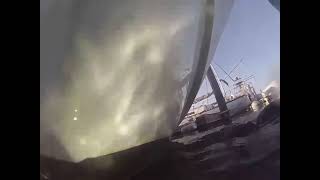 8 14 26 De Sea WL