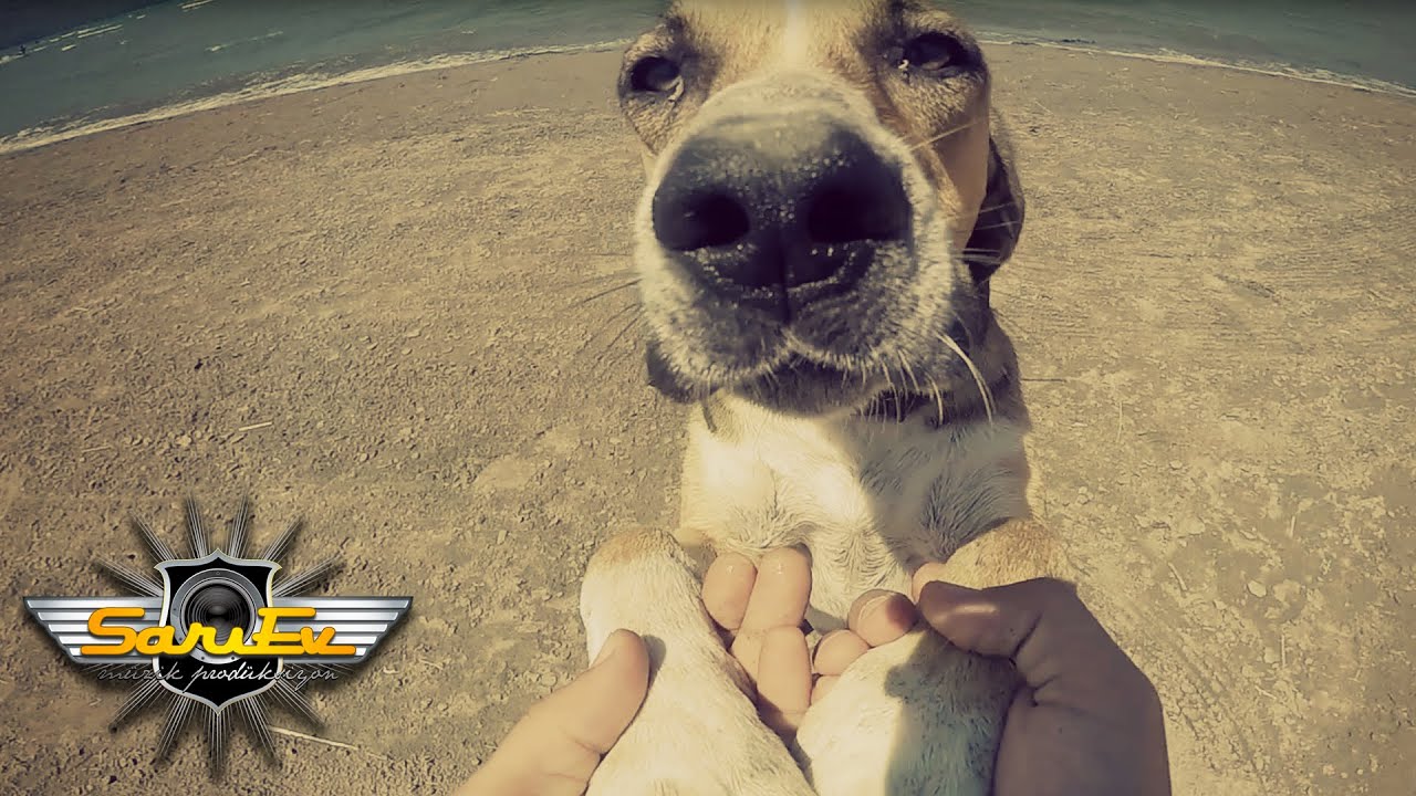 Fırat Akarsel - Ölmem Derdimden