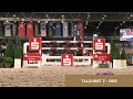 Elite Foal Auction 2022 | Lot 21 | Titan HD