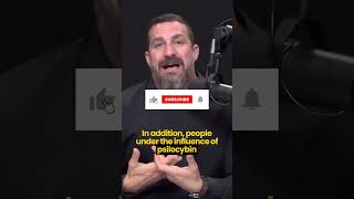 Neuroscientist How Different Senses Can Merge On Shrooms  Dr Andrew Huberman huberman