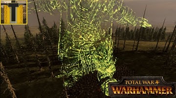 Warhammer: Multiplayer Battle #195- 2v2  Wurrzag