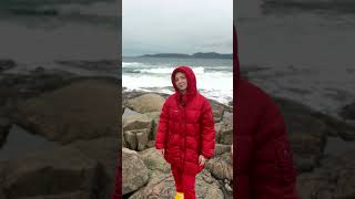 On the coast of the ARCTIC OCEAN / Kola Peninsula / Far North