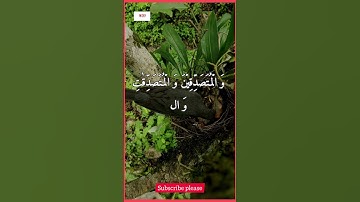 সূরা আহযাব (Surah Al-Ahzab) _ সুন্দর তিলাওয়াত ও অর্থ _ Surah Al Ahzab _ سورة الأحزاب #viralshort