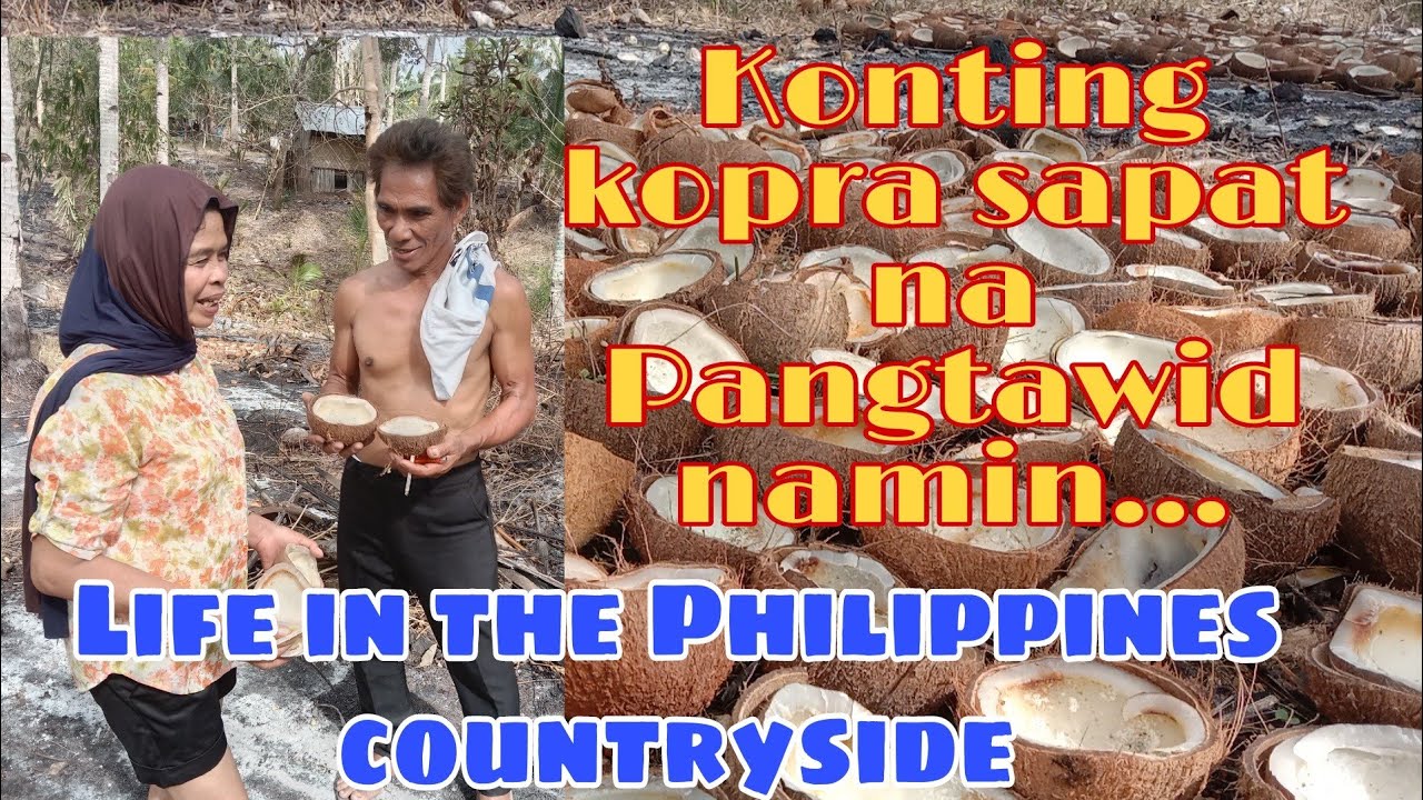 Dried Coconut Kernels (COPRA) YouTube