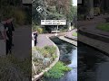 Hilarious river jump fail 😂🤦                                     🎥: TikTok / hadleyoconnor