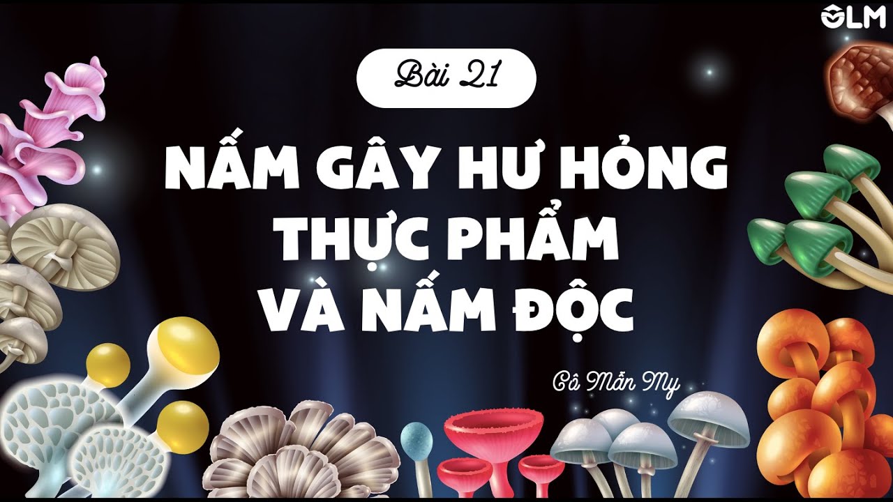 Bài 21. Nấm gây hư hỏng thực phẩm và nấm độc - Khoa học 4 - Kết nối tri thức với cuộc sống - OLM.VN - youtube