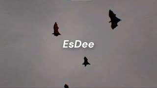 EsDeeKid · Rico Ace - Mist (Sub. Español + Lyrics)