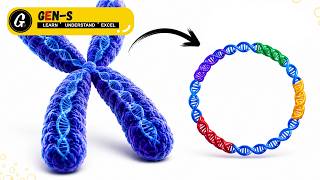(RDT)Recombinant DNA Technology