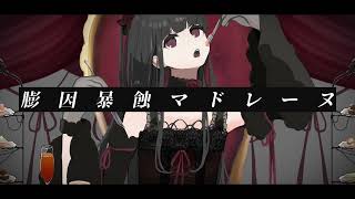 あんたれすP - 膨因暴蝕マドレーヌ / 初音ミク&KAITO［Hardbass］