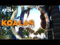Building a tropical Paradise in Planet Zoo with Koalas IN Trees