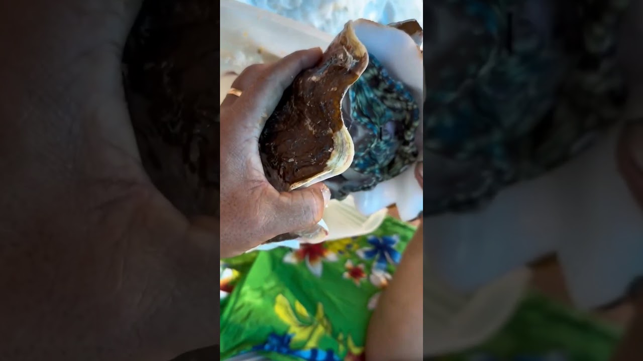 Hidden Crystal Gems Worth Big Money! 💲Agate Stone Hunting 