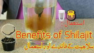 Benefits Of Shilajit And Uses | Salajeet Ke Fayde Aur Istamal  - Complete Information in Urdu