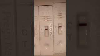 Line Progression Pregnancy Test Dpo