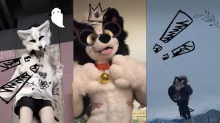 Details Therian/Furry/Ect TikTok comp! #lgbtiq #furry #lgbtcommunity #fursuit #otherpaw #therian #transmann  News