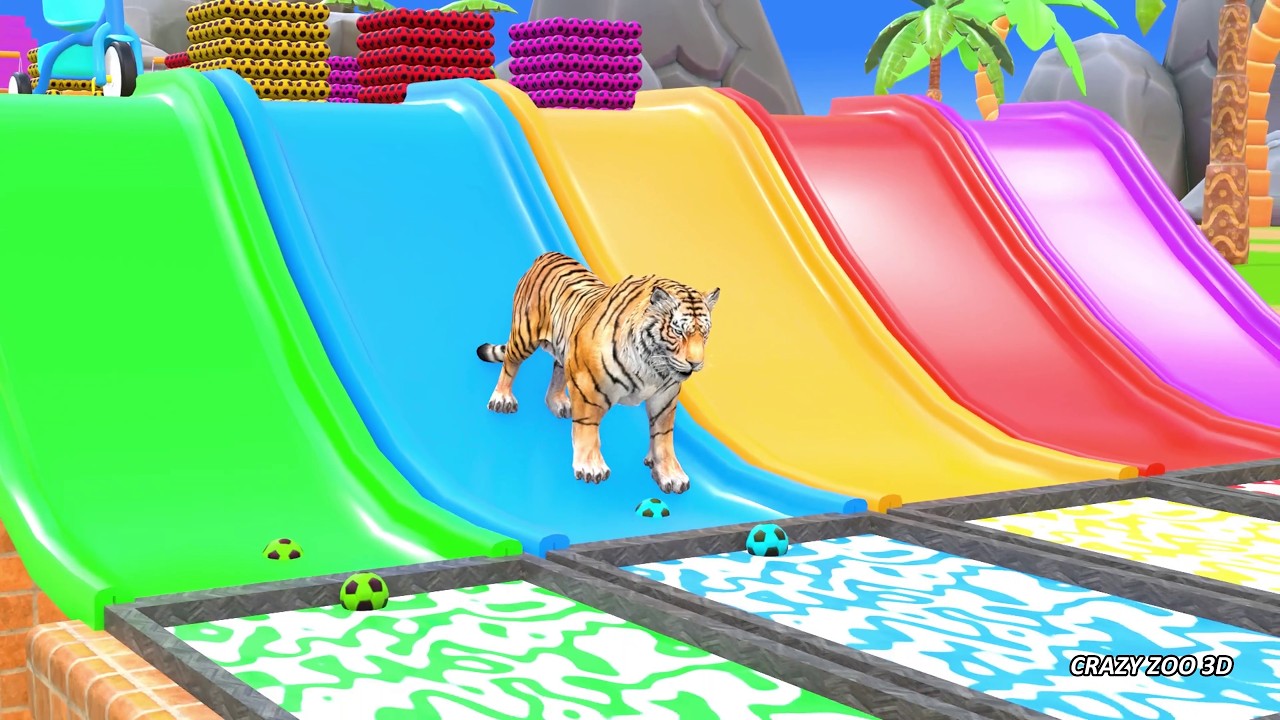 Long Slide Game With Elephant Gorilla Buffalo Hippopotamus Tiger | Crazy Zoo 3D