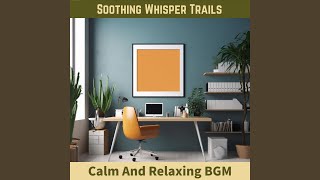 Insights in Calm Waves (Key F Ver.)