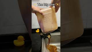 Enjoy 39% Off glassrinser for a Limited TimeOnly #kitchengadgets #glassrinser #viral #trendingshorts