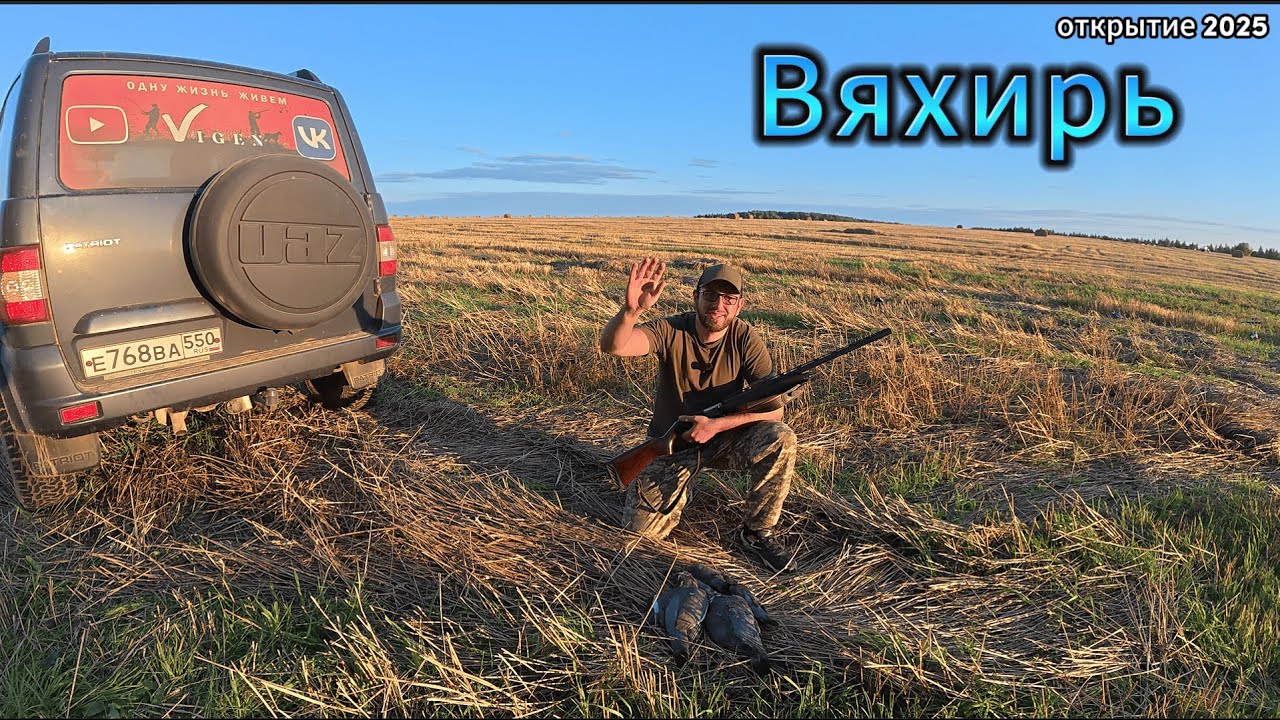 Охота на Вяхиря 2025