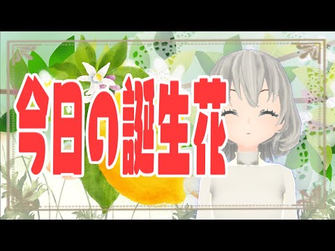 【花言葉】１１月１２日の誕生花は？／花白もか