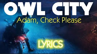 Owl City - Adam, Check Please (HD Lyrics)