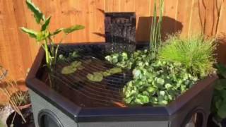 Blagdon Affinity Half Moon Pond