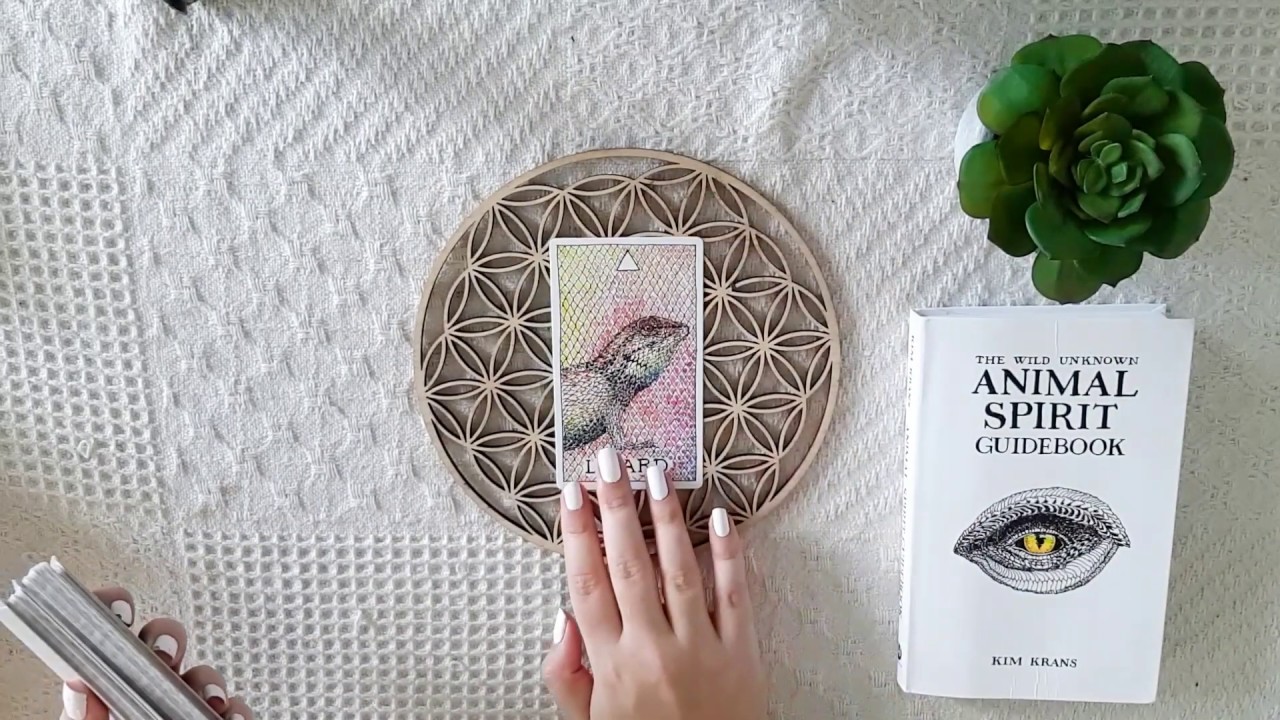 🌈The Daily Pisces 🦋"SUPER IMPORTANT message!!!" 😍🌙TIMELESS READ