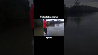 tarikan ikan kakap emang maknyuuuusss