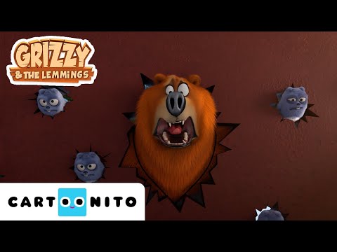 Plan | Grizzy i lemingi | Cartoonito