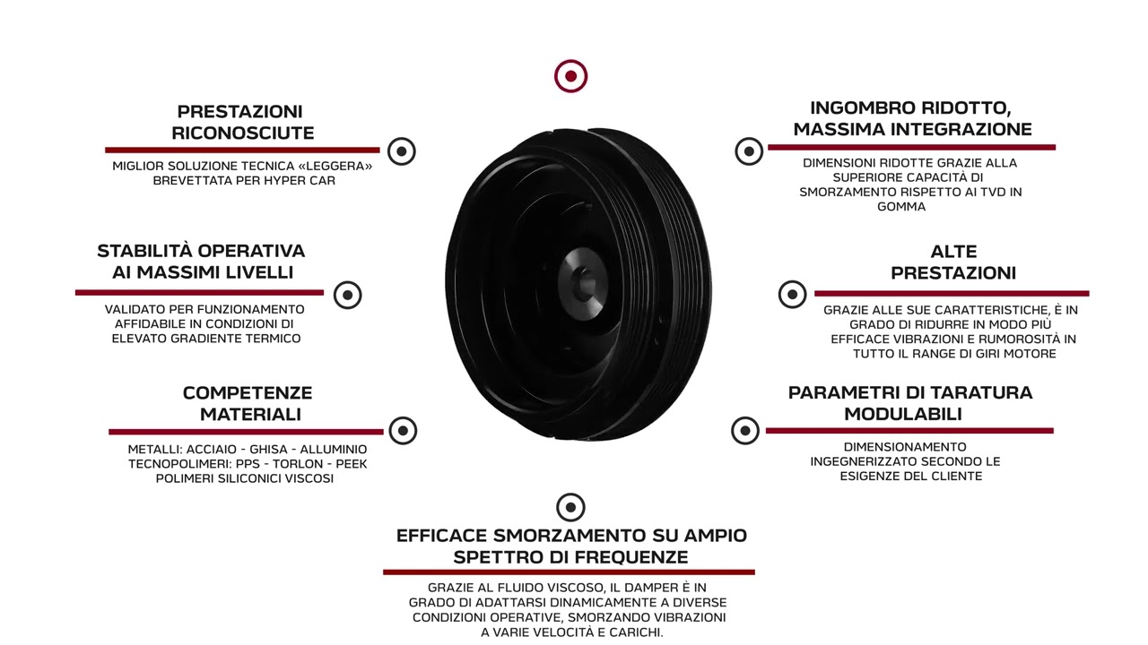 VISCO TORSIONAL VIBRATION DAMPER AGLA POWER TRANSMISSION SPA_Ita