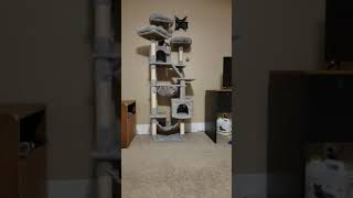 Heybly Cat Tree 73 inches XXL Large Cat Tower for Indoor Cats ,Multi-Level Cat Furniture Condo