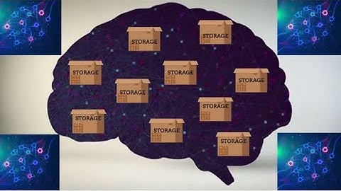 Don’t Forget: The Basics of Our Memory
