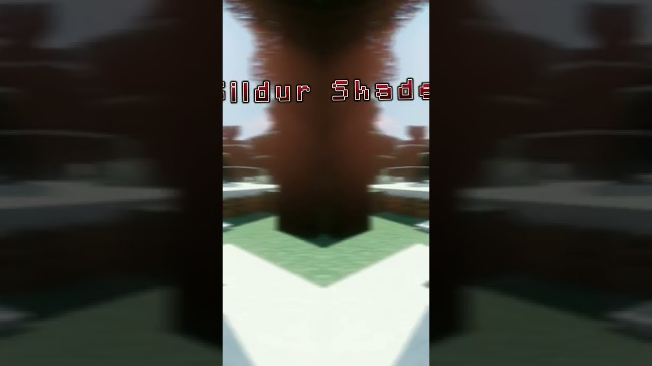POV: You only have 1 Shader on minecraft 
