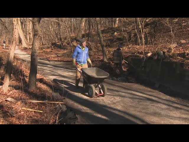 Volunteers Help Clean And Clear Nyc Parks