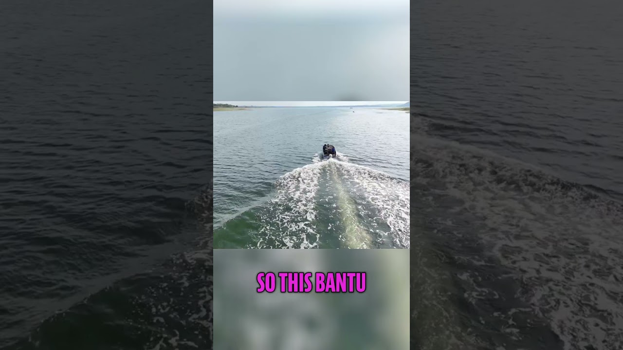 Zimbabwe Tribes: Shona & Ndebele Bantu Migration Explained 