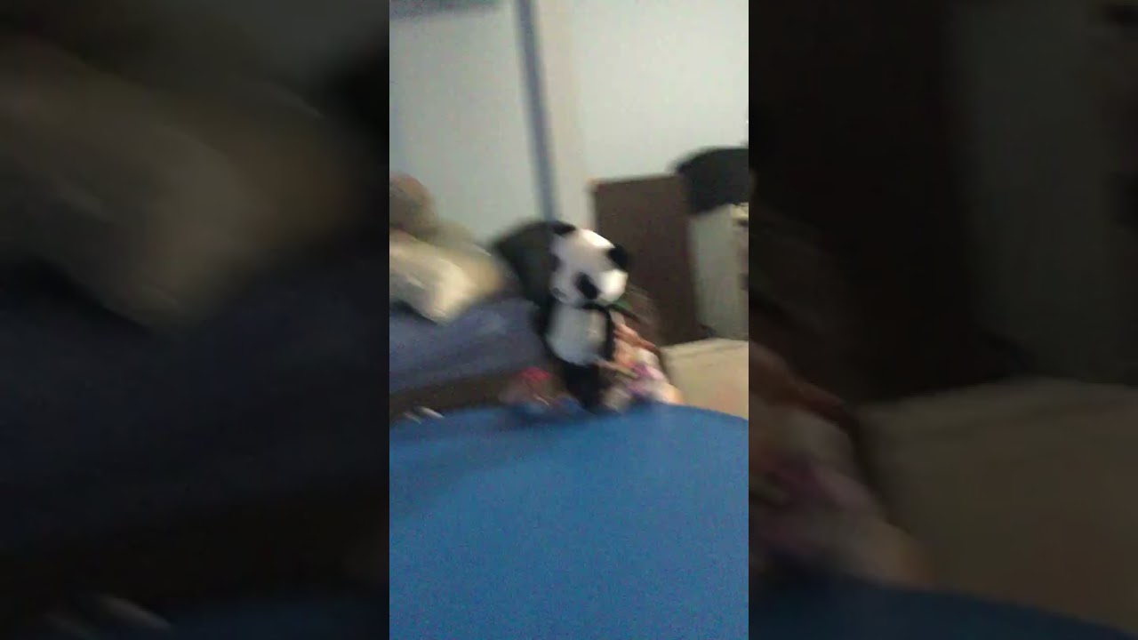 Panda does a backflip