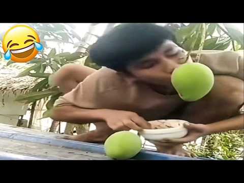 Try NOT to Laugh Challenge 😆 Top Funniest Videos of the Week 2026 😅 Part 26