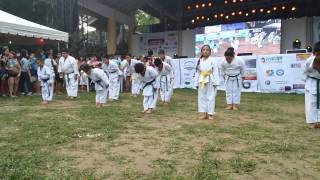 Karate exhibition during 2015 bon odori festival screenshot 4