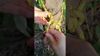 #knot #tali #shortvideo #knotting