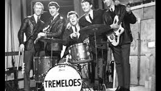 Here Comes My Baby Tremeloes Drummer Life Story Interview Dave Munden