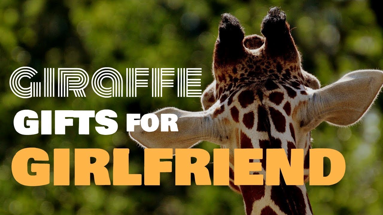 Giraffe Gifts For Girlfriend