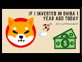 If You Invested $1,000 In Shiba Inu Coin On Jan. 29th, 2021, Here's How Much You'd Have Now | $$$$$