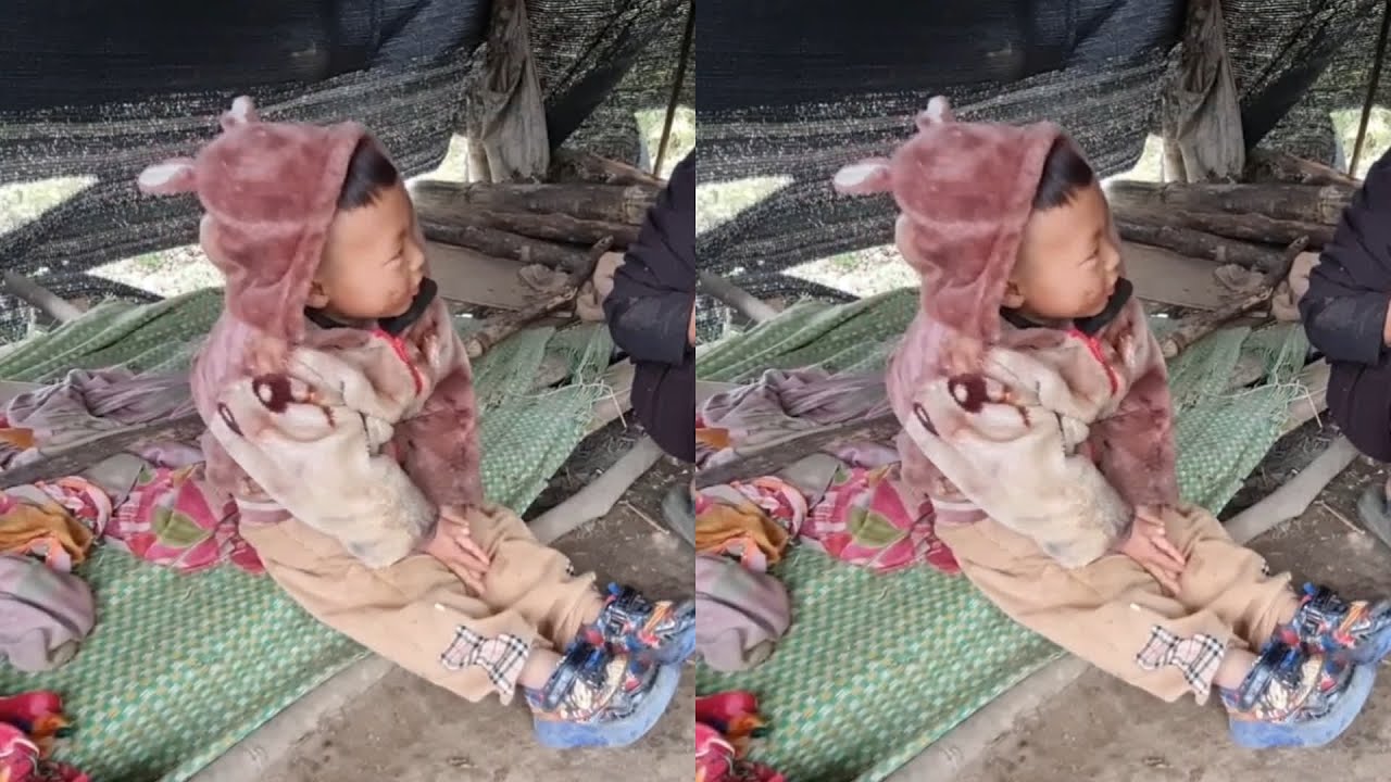 飛飛大過年吃的超簡單飯！看媽媽在后廚忙活…