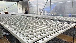 Explaining the pump control system in NFT hydroponics greenhouse system | Don Ave Hydroponics Farm