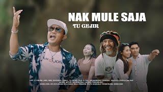 TU GEJIR - NAK MULE SAJA (OFFICIAL MUSIC VIDEO)