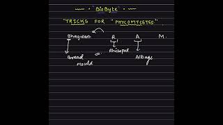 Phycomycetes Examples Trick 🔥 | Plant Kingdom Class 11 Biology | NEET 2027
