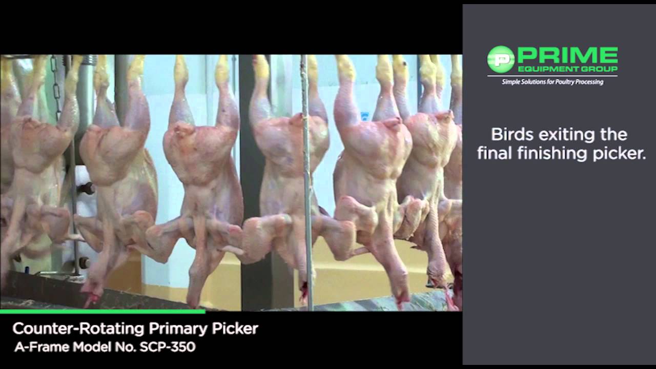 SB Impianti Contramatic Counter Rotating Primary Picker