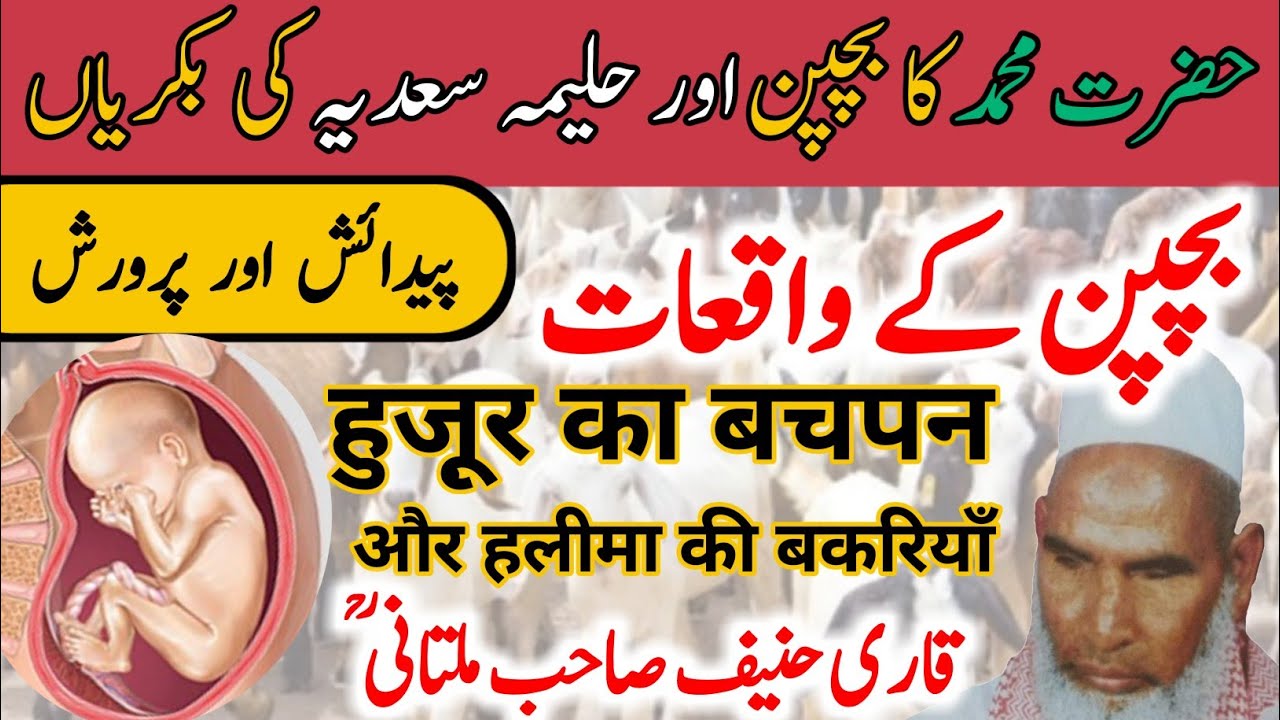 Huzoor Ka Bachpan |Or Halima Ki Bakriyan |Qari Haneef Multani |Zindagi badal dene wala bayan GM O